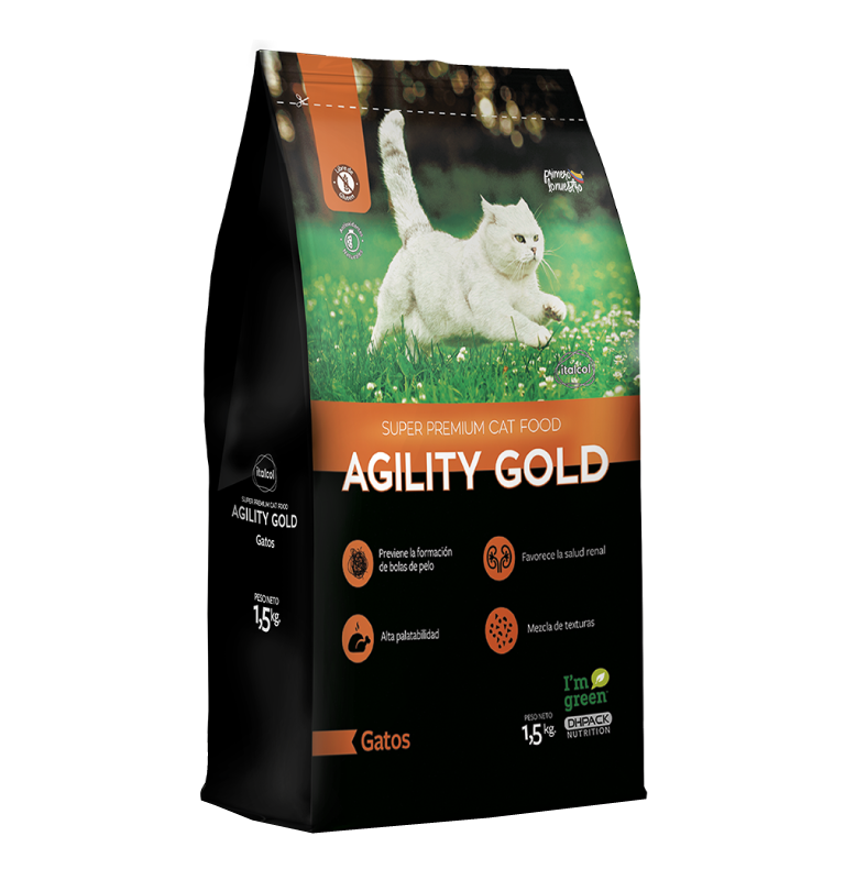 Agility gato adultos