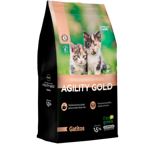 Agility gatitos