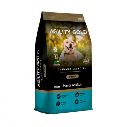 Agility Perros Obesos