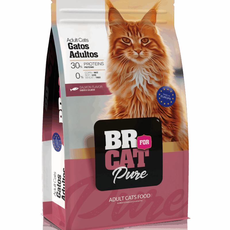 BR Gato Adulto Salmon