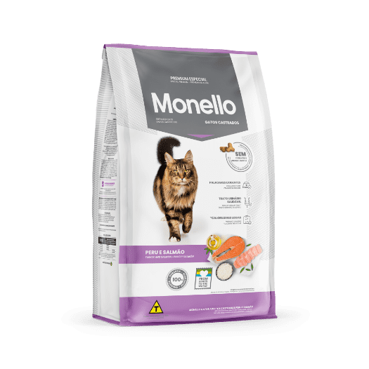 Monello Gato Castrado