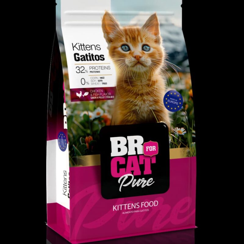 BR Gatitos ( Pollo o Salmon )